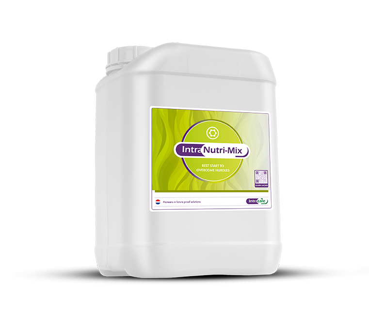 Intra Nutri-Mix