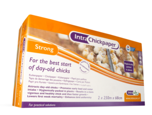 Intra Chick Paper - Strong