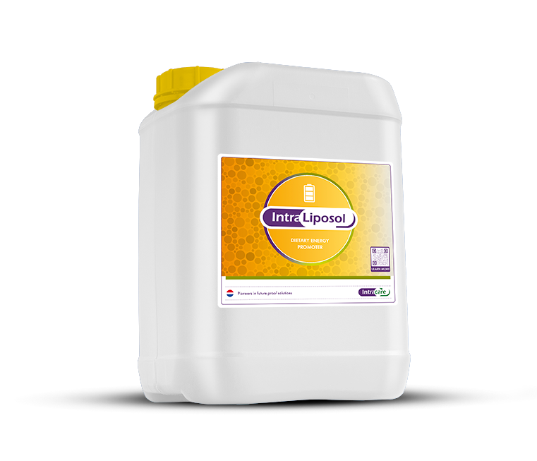Intra Liposol