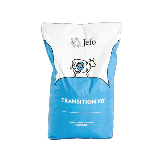 Transition VB (Coated B Complex)
