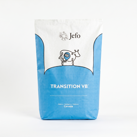 Transition VB (Coated B Complex)